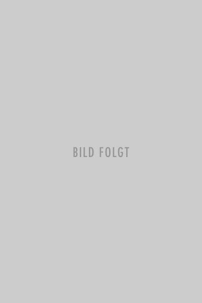 Bild folgt